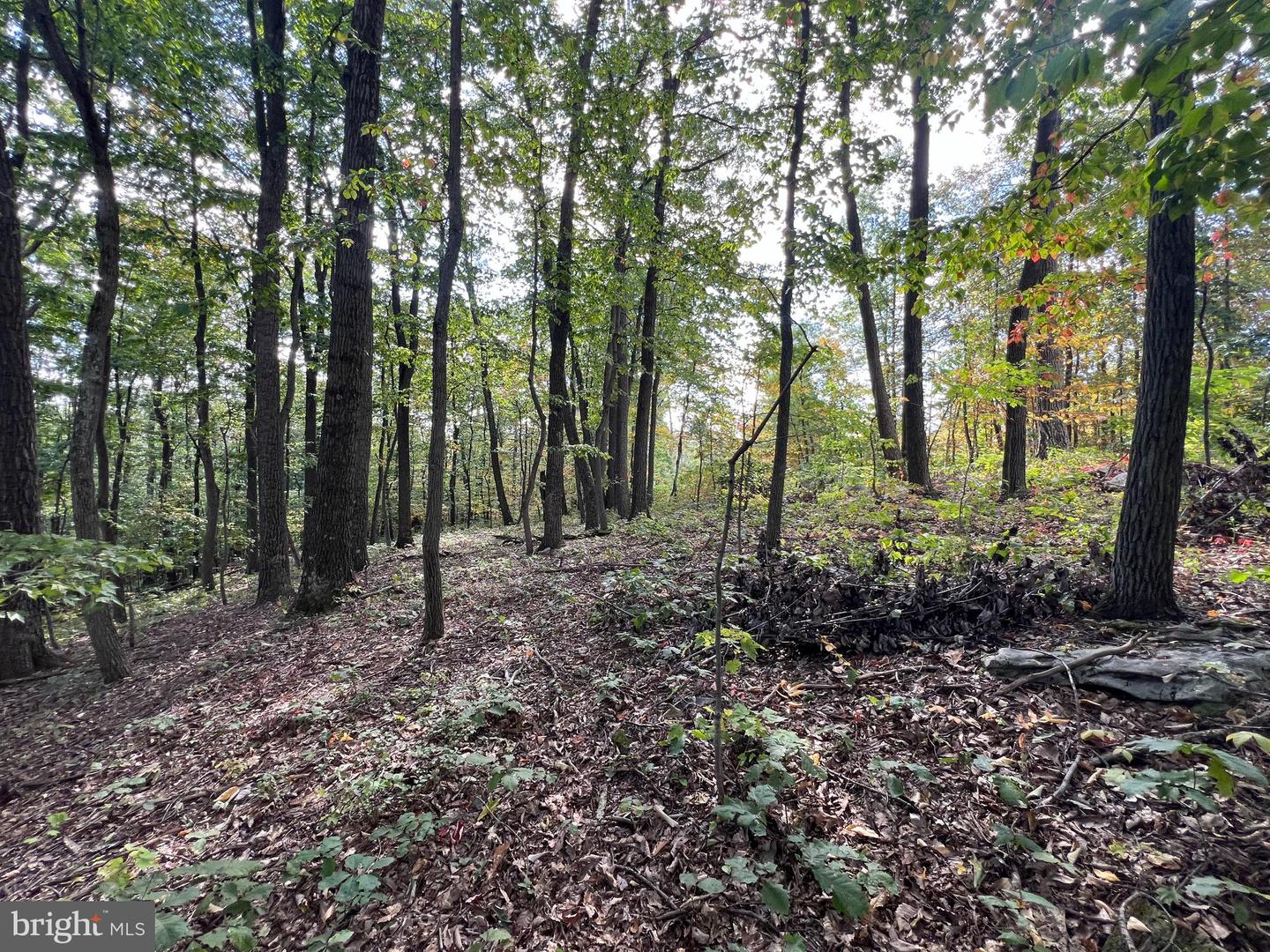 Lot 31 Woodlawn Drive Property Photo 9