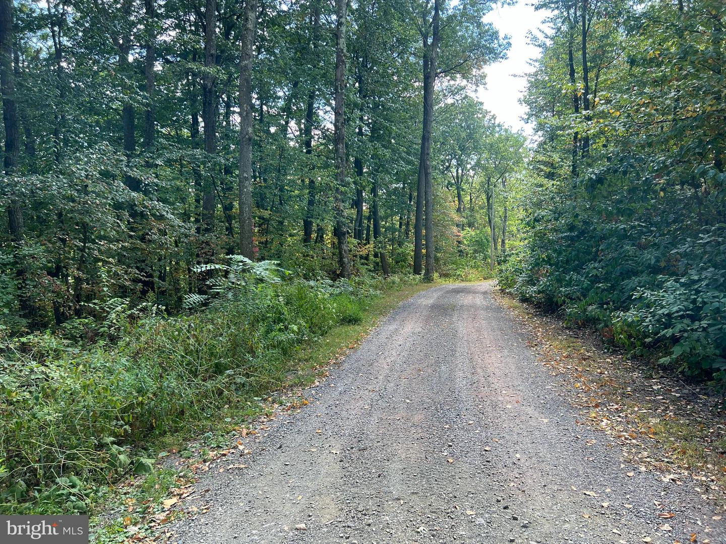 Lot 31 Woodlawn Drive Property Photo 10