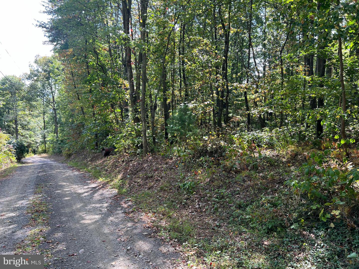 Lot 31 Woodlawn Drive Property Photo 12