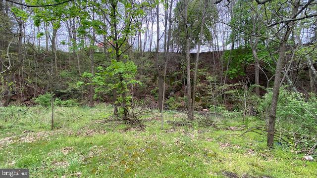 201 Hoover Rd Property Photo 46