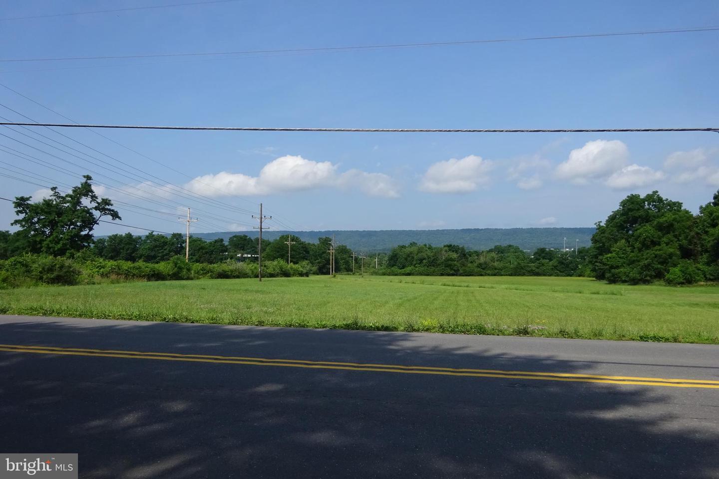 19.16 Acres Cito Rd Property Photo 9