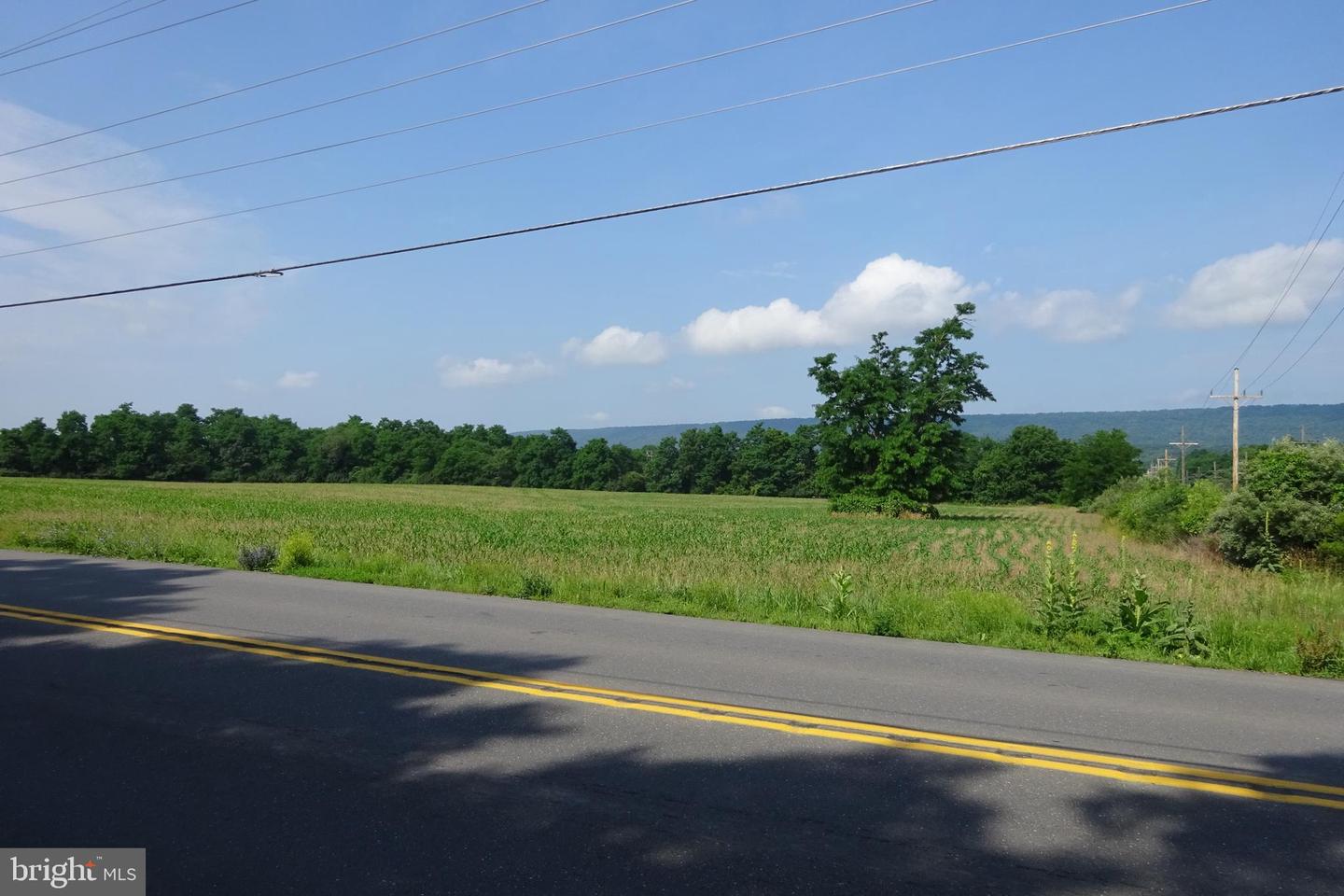 19.16 Acres Cito Rd Property Photo 15