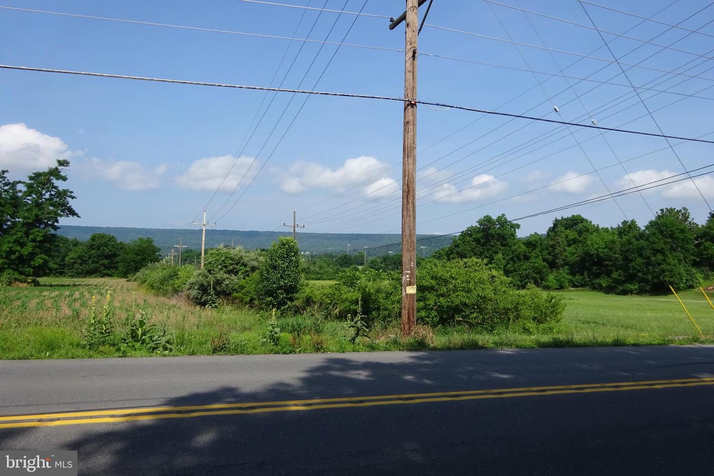 19.16 Acres Cito Rd Property Photo 16