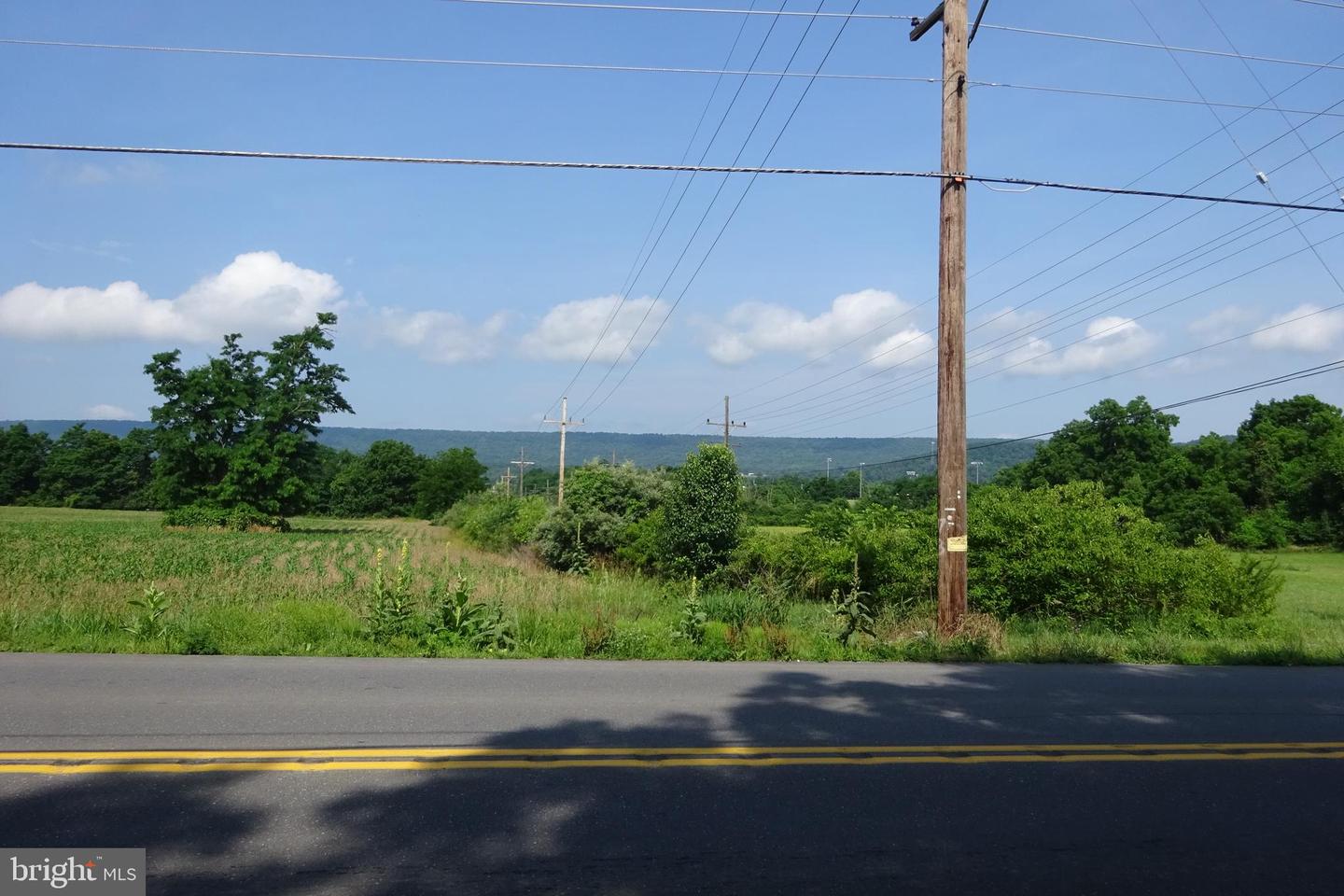 19.16 Acres Cito Rd Property Photo 18