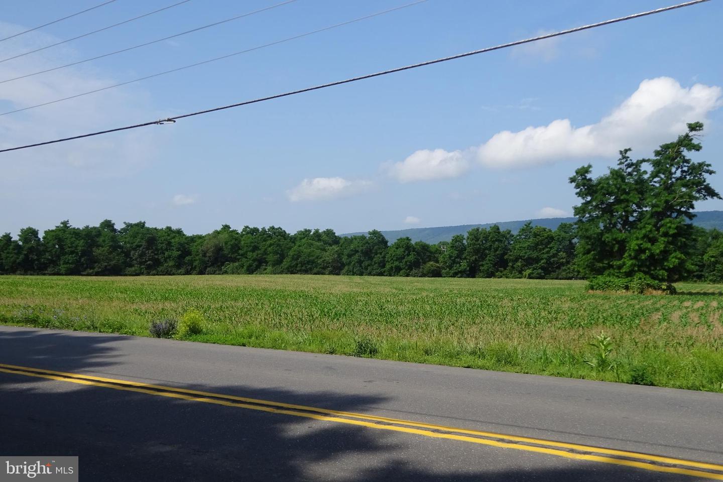 19.16 Acres Cito Rd Property Photo 21