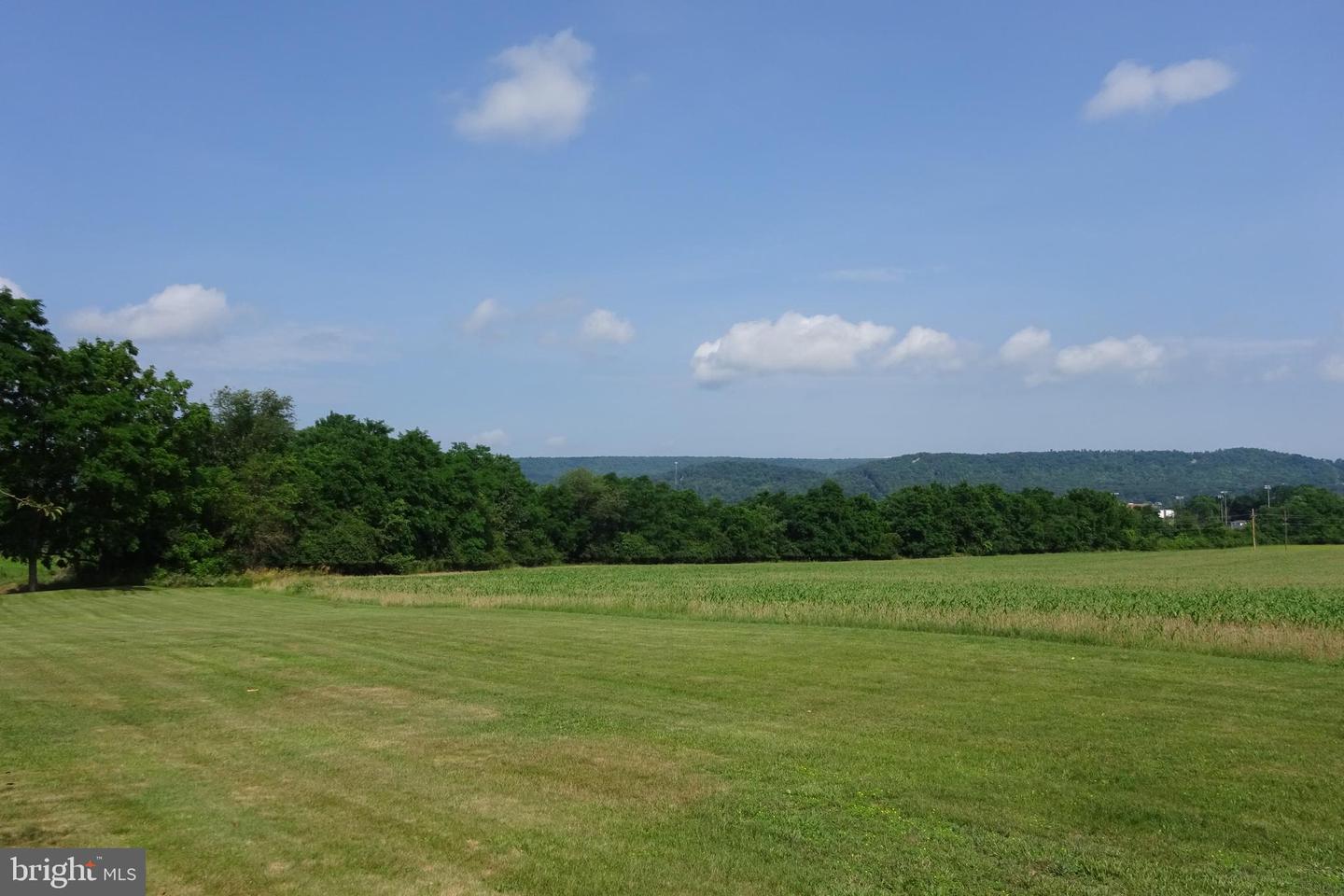 19.16 Acres Cito Rd Property Photo 25