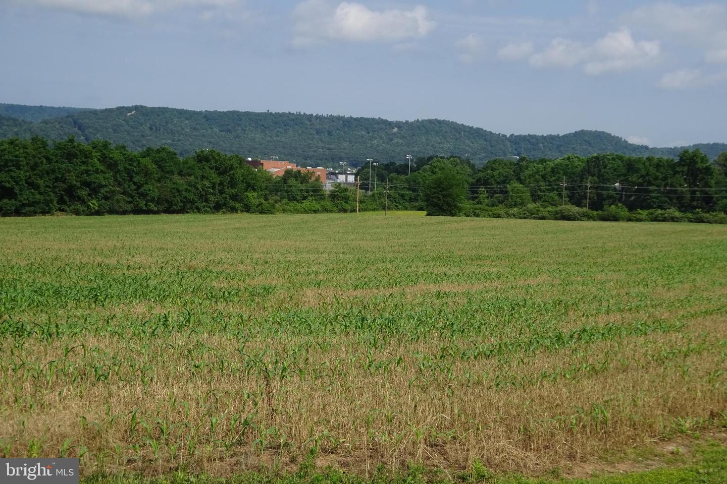 19.16 Acres Cito Rd Property Photo 30