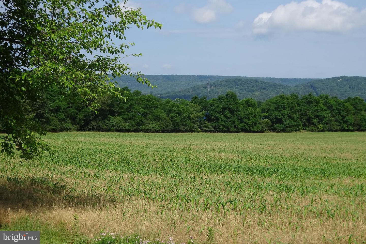 19.16 Acres Cito Rd Property Photo 31