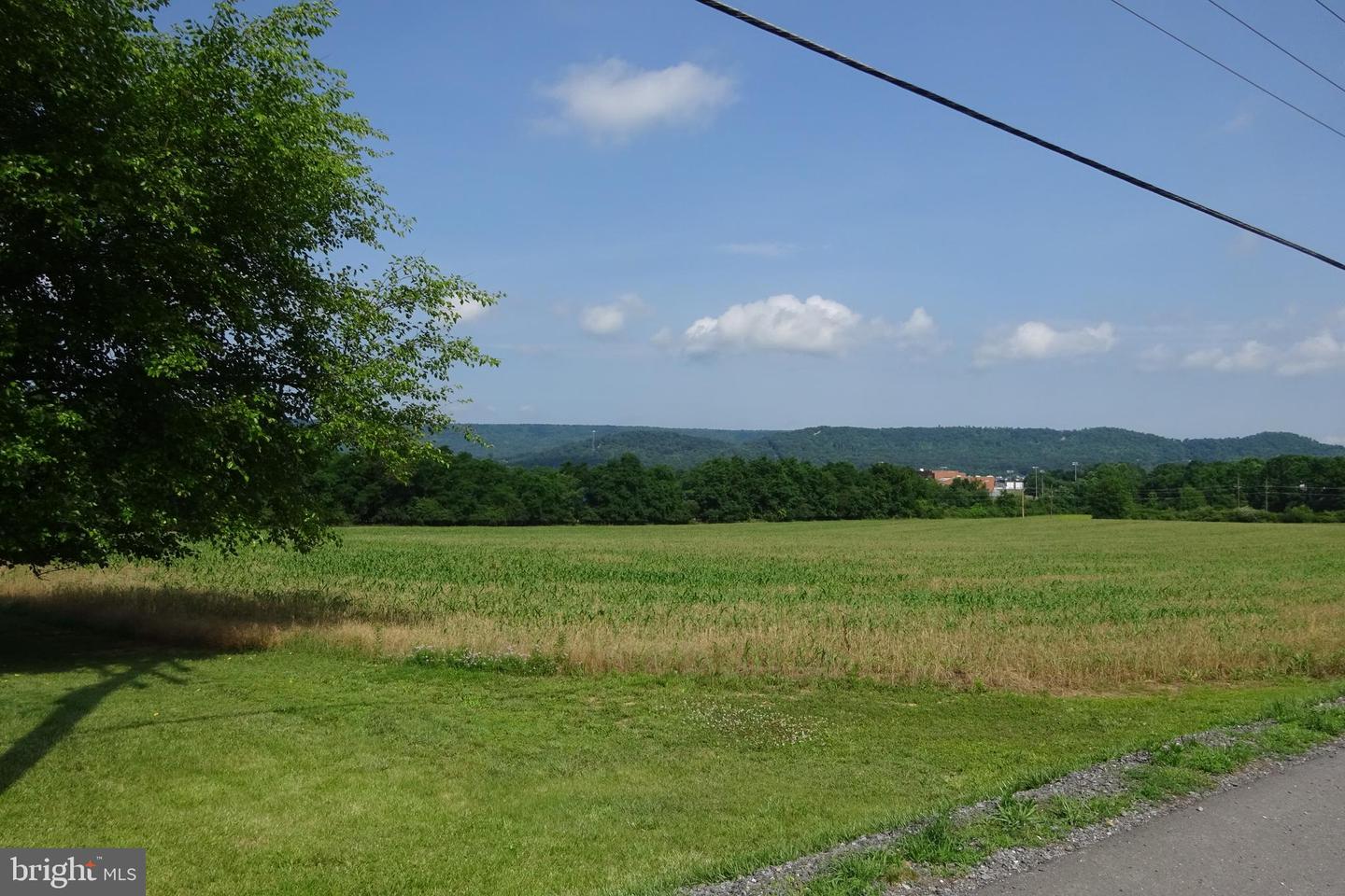 19.16 Acres Cito Rd Property Photo 33