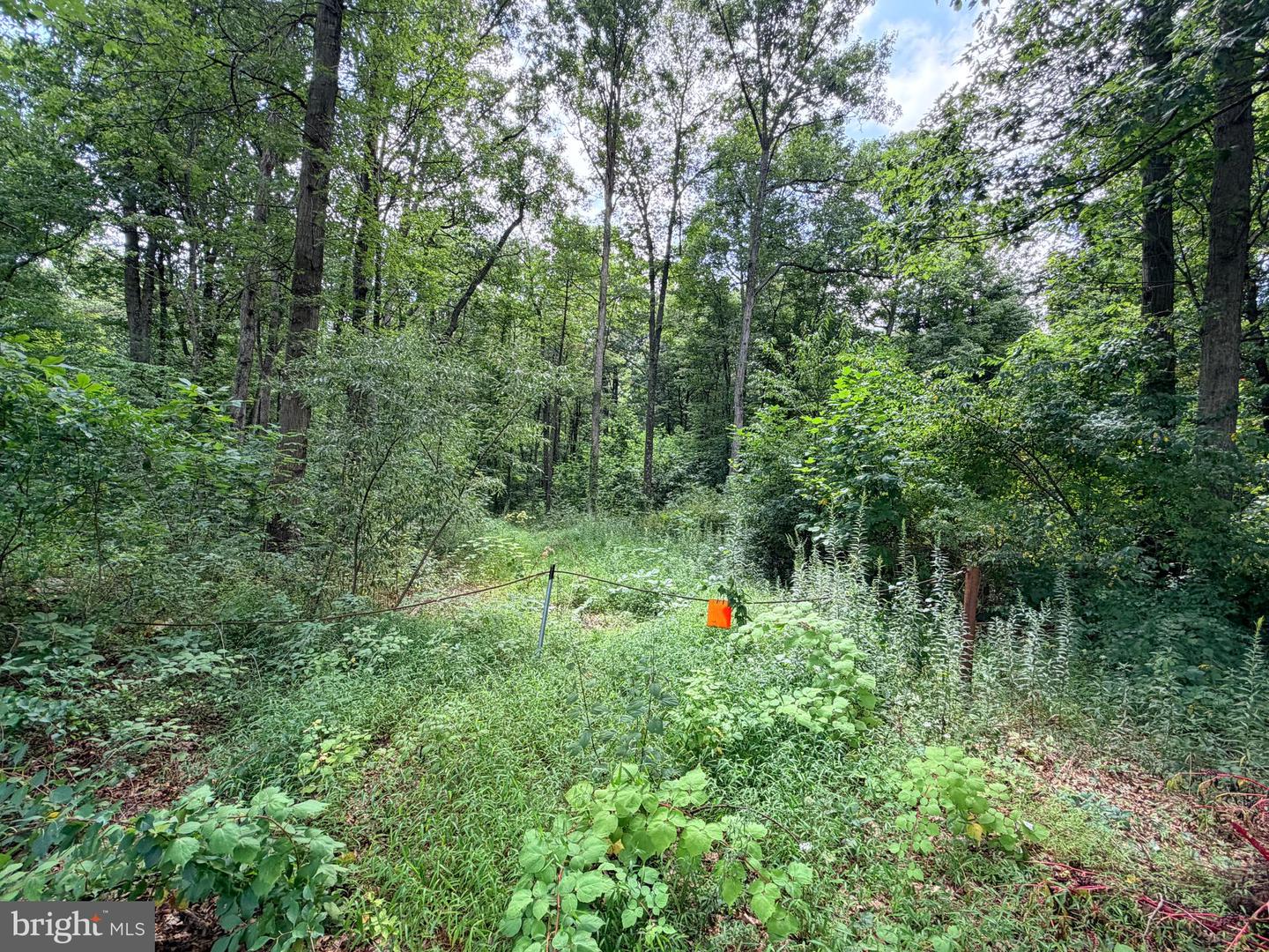 3985 Fairview Rd Property Photo 82