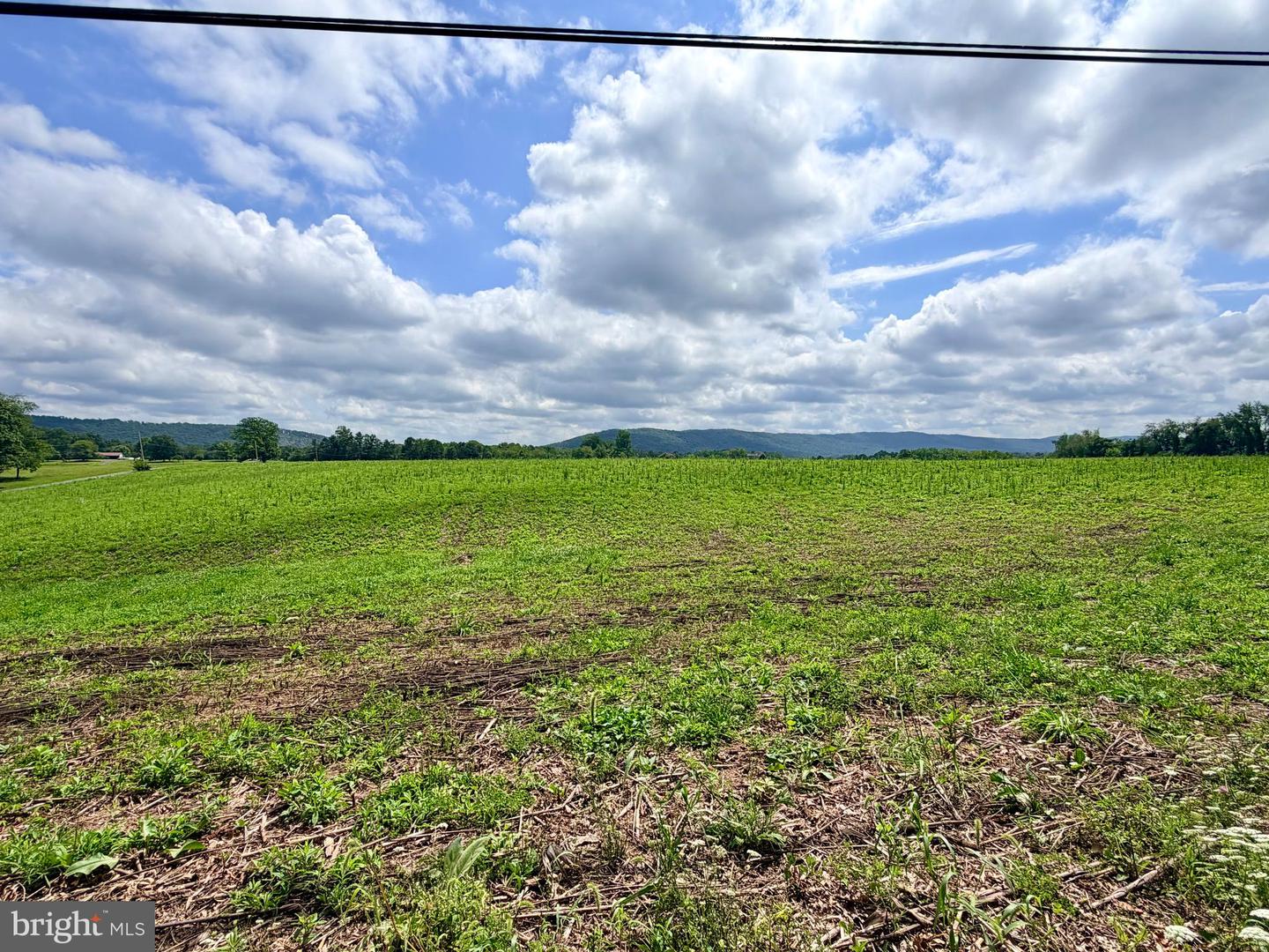 3985 Fairview Rd Property Photo 84