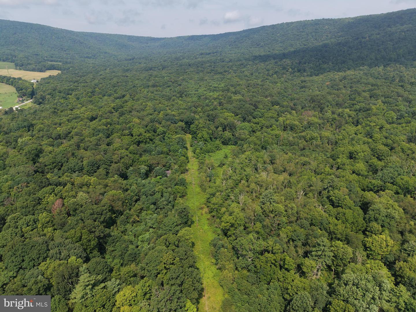 107+/- ACRES SCHENCK RD