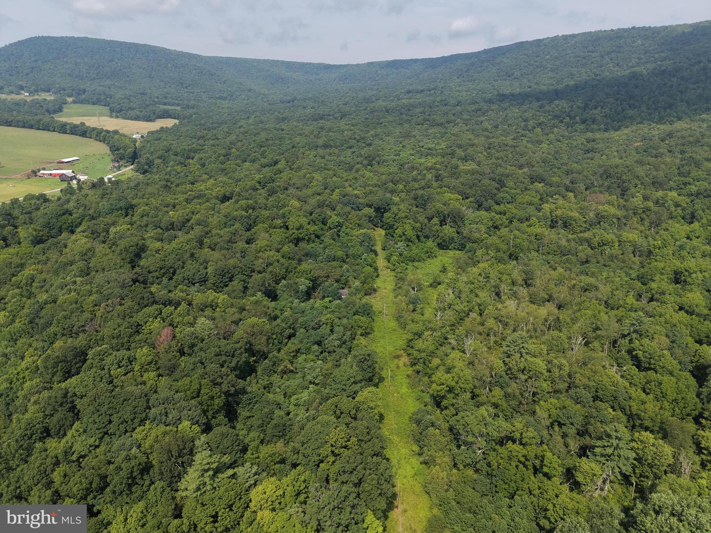 107+/- Acres Schenck Rd Property Photo 2