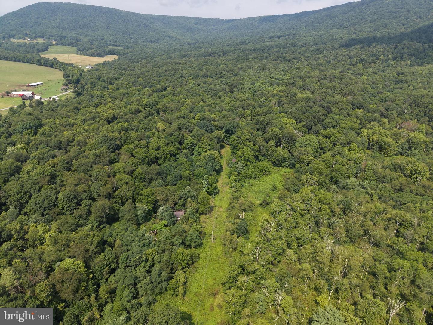 107+/- Acres Schenck Rd Property Photo 4