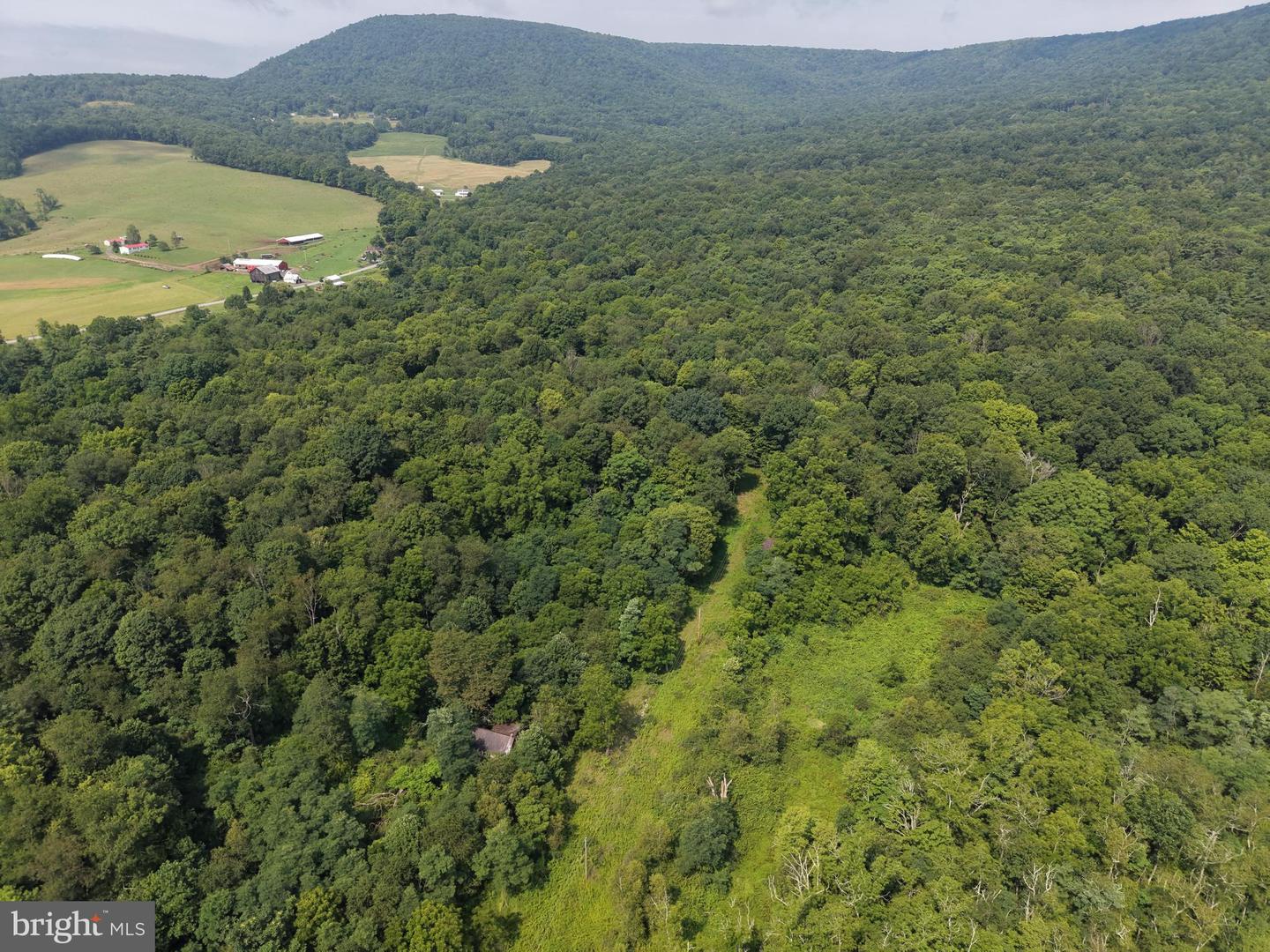 107+/- Acres Schenck Rd Property Photo 5