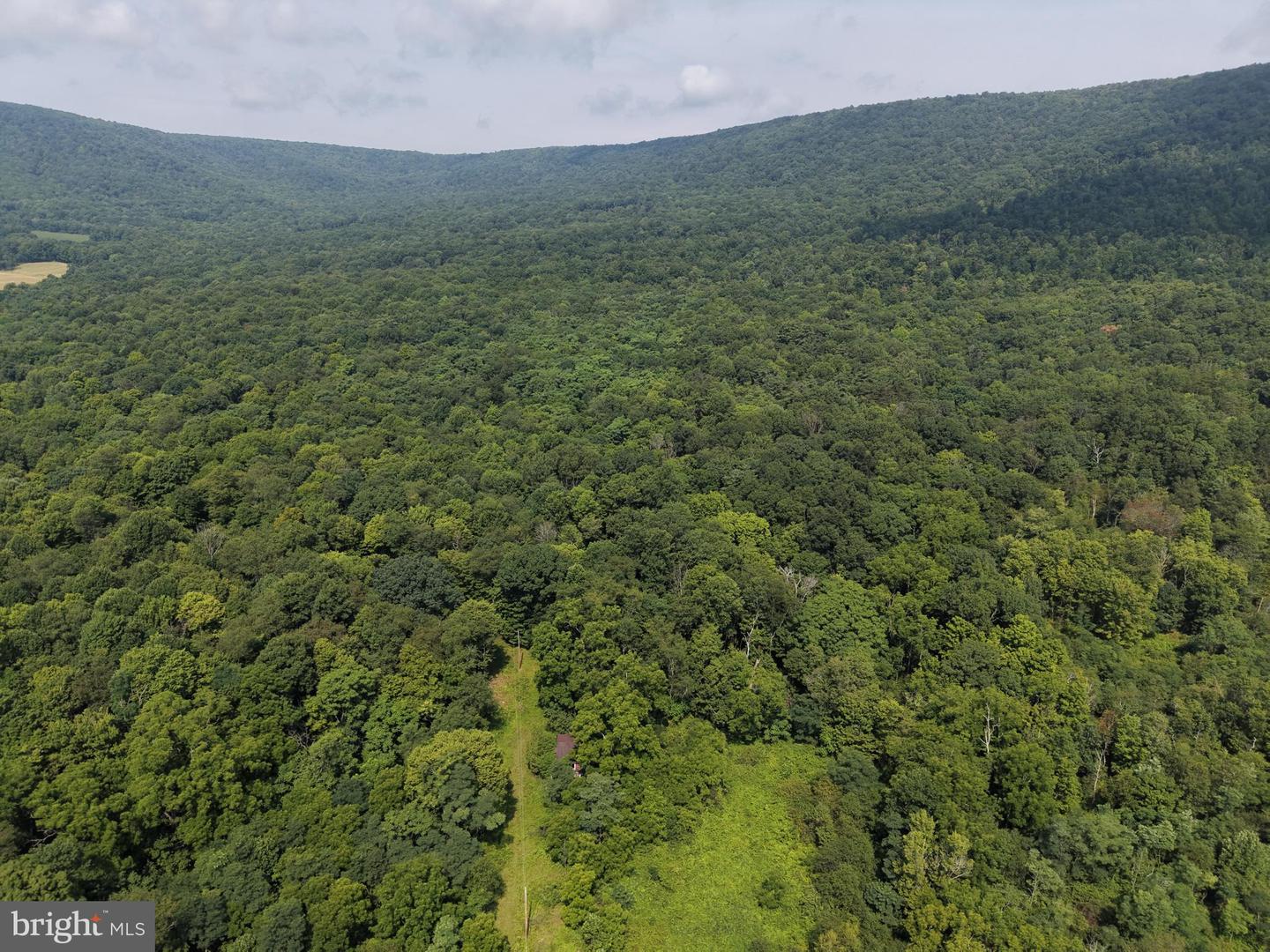 107+/- Acres Schenck Rd Property Photo 6