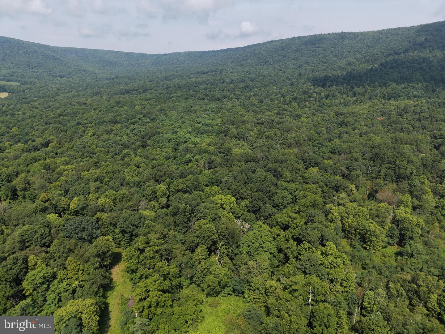 107+/- Acres Schenck Rd Property Photo 7
