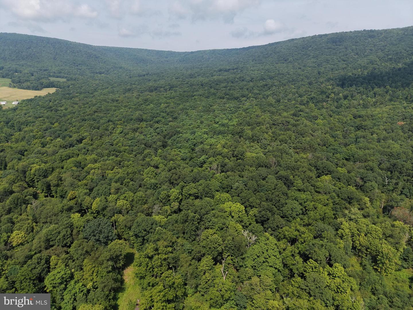 107+/- Acres Schenck Rd Property Photo 8