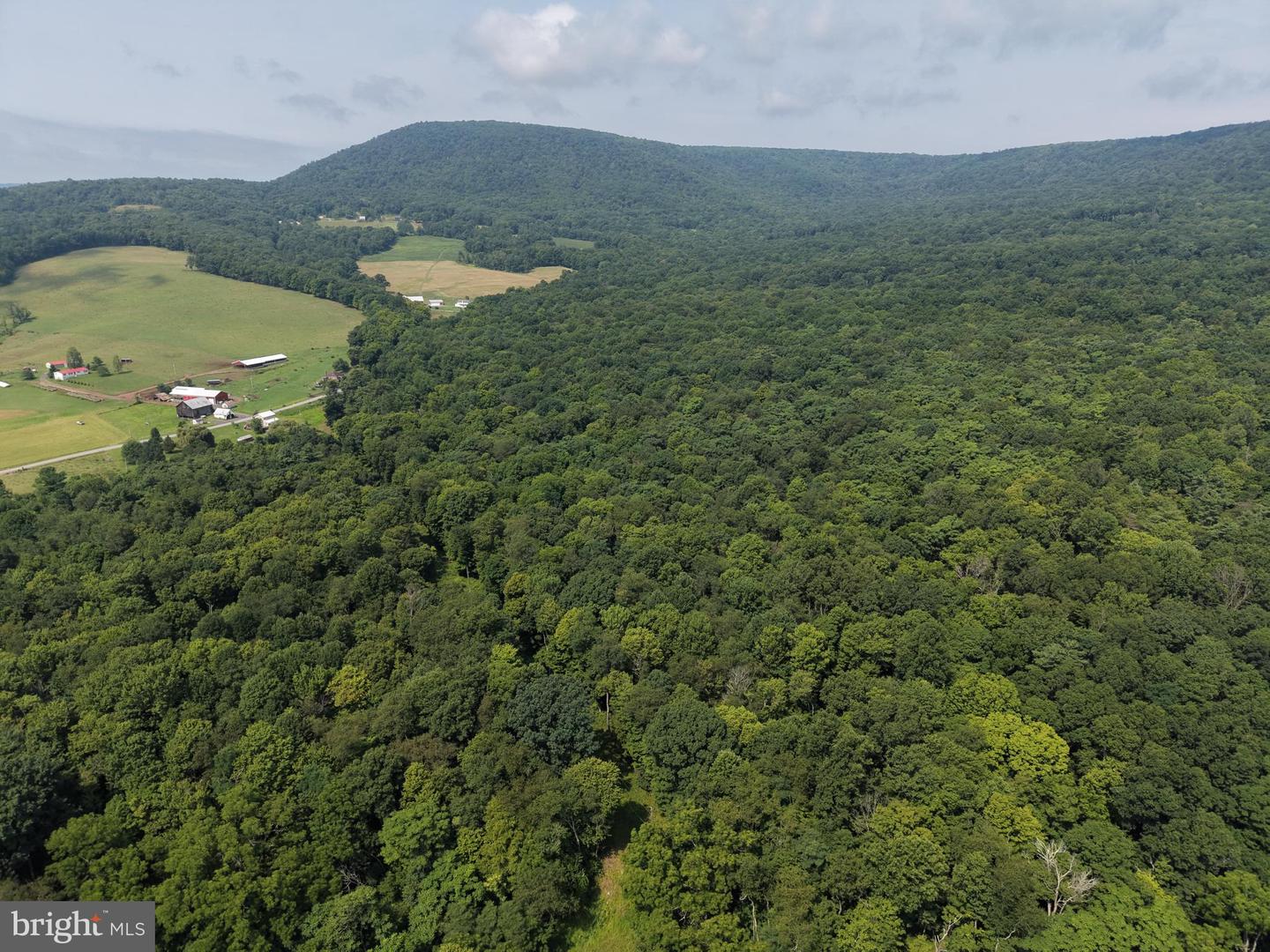 107+/- Acres Schenck Rd Property Photo 9