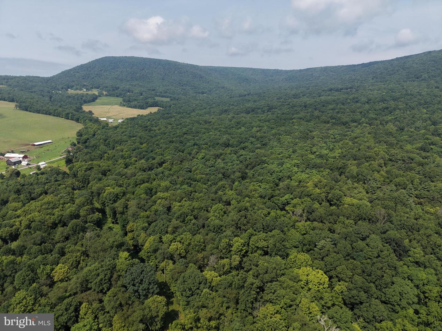 107+/- Acres Schenck Rd Property Photo 10