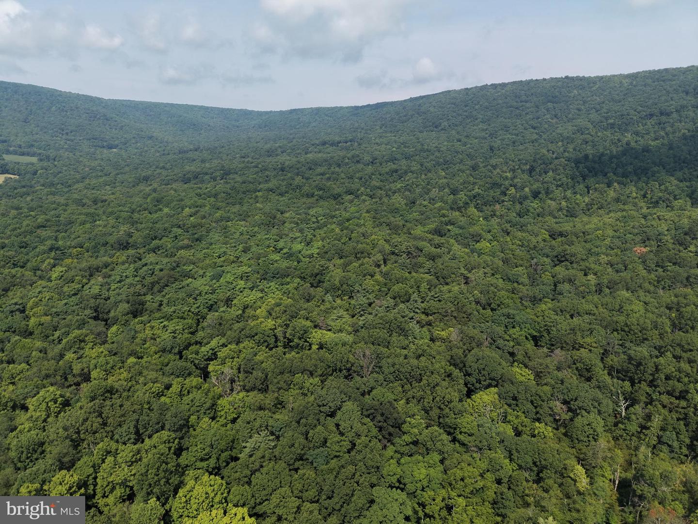 107+/- Acres Schenck Rd Property Photo 11