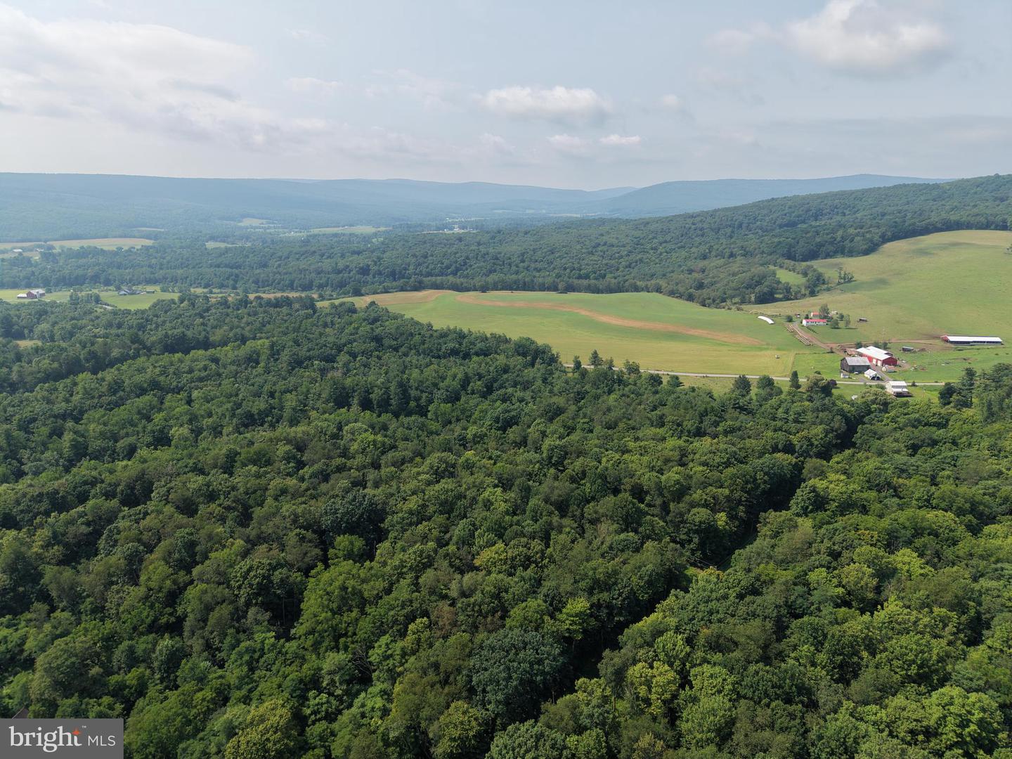 107+/- Acres Schenck Rd Property Photo 12