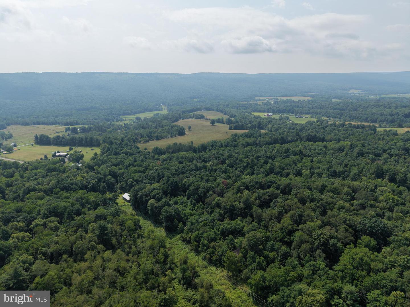 107+/- Acres Schenck Rd Property Photo 13
