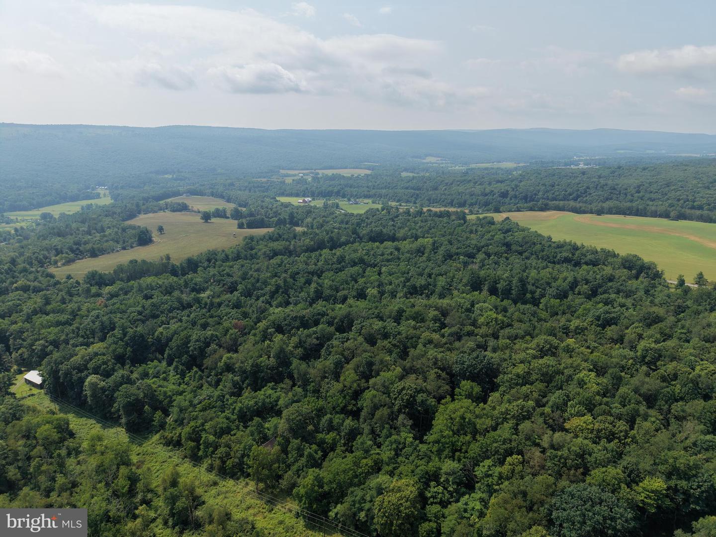 107+/- Acres Schenck Rd Property Photo 14