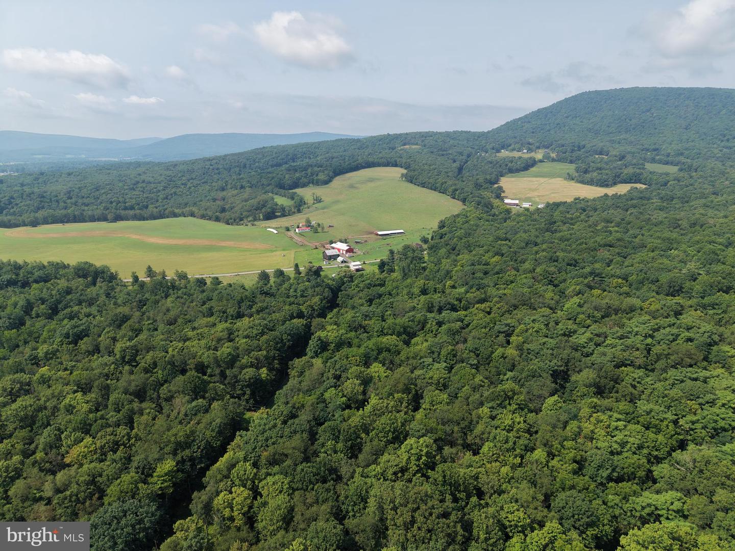 107+/- Acres Schenck Rd Property Photo 15