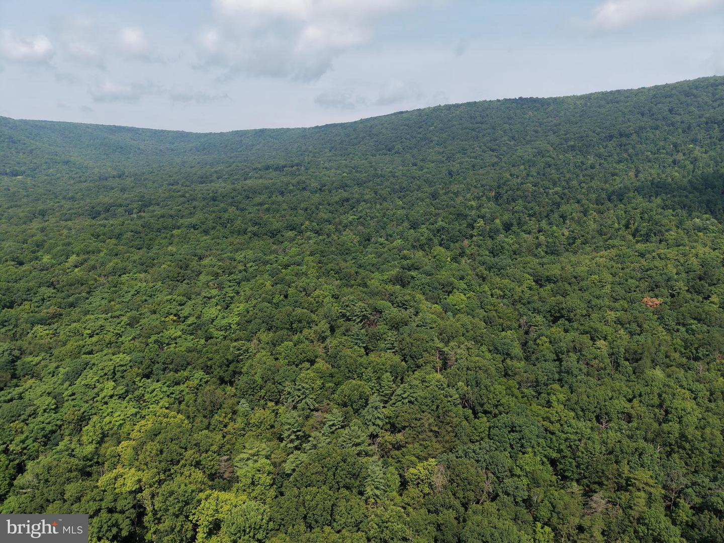 107+/- Acres Schenck Rd Property Photo 16