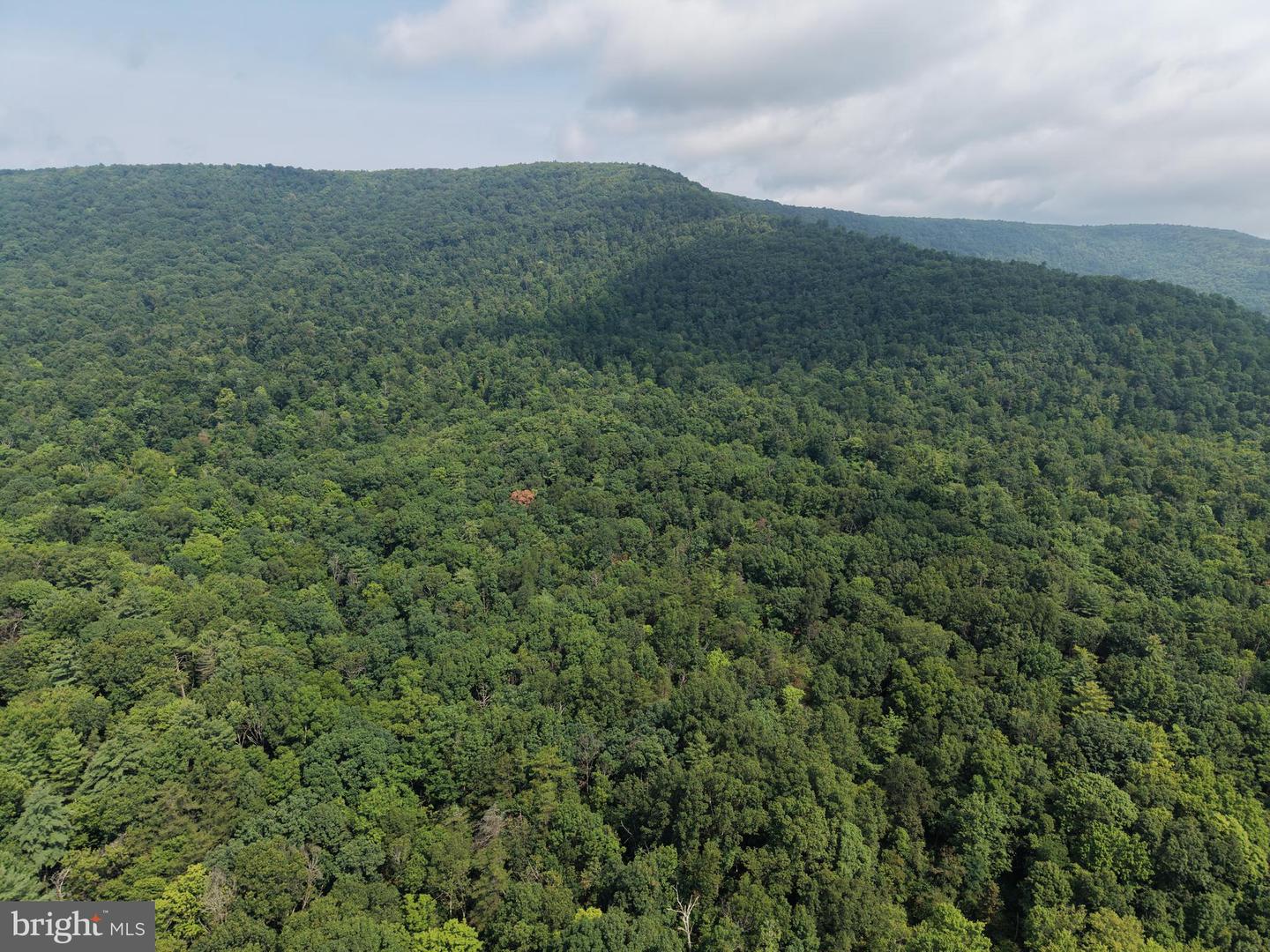 107+/- Acres Schenck Rd Property Photo 17