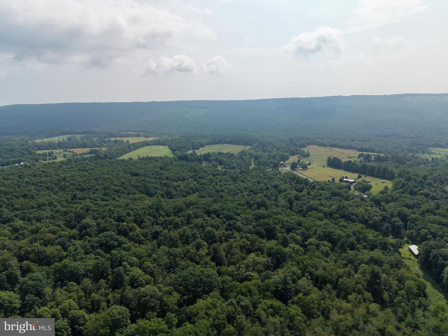 107+/- Acres Schenck Rd Property Photo 19