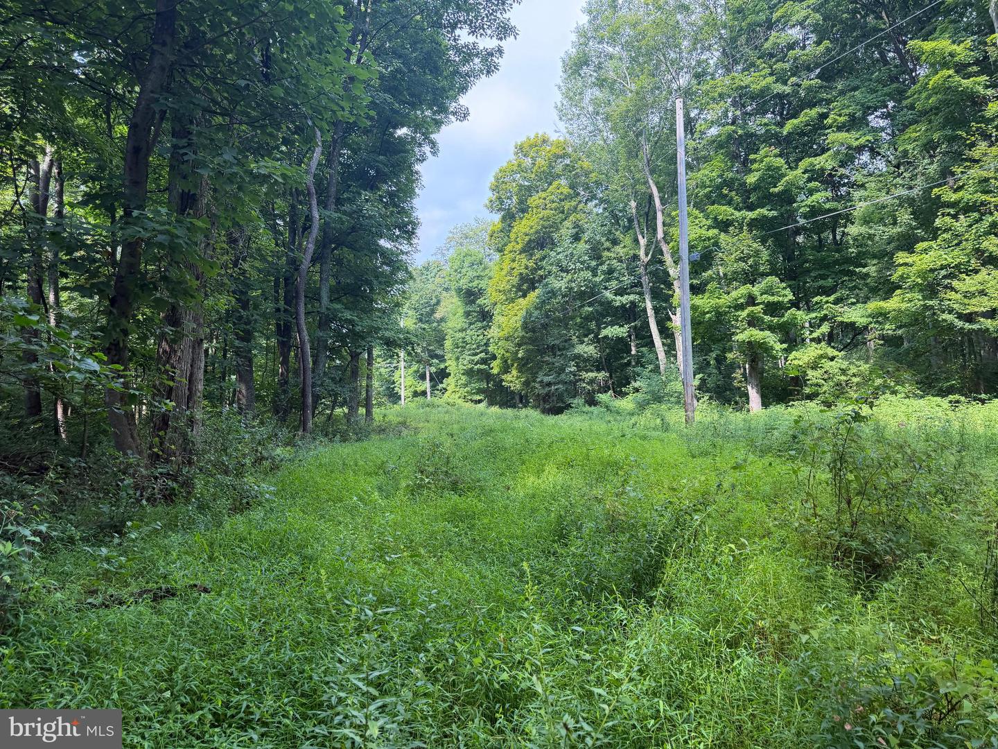 107+/- Acres Schenck Rd Property Photo 26