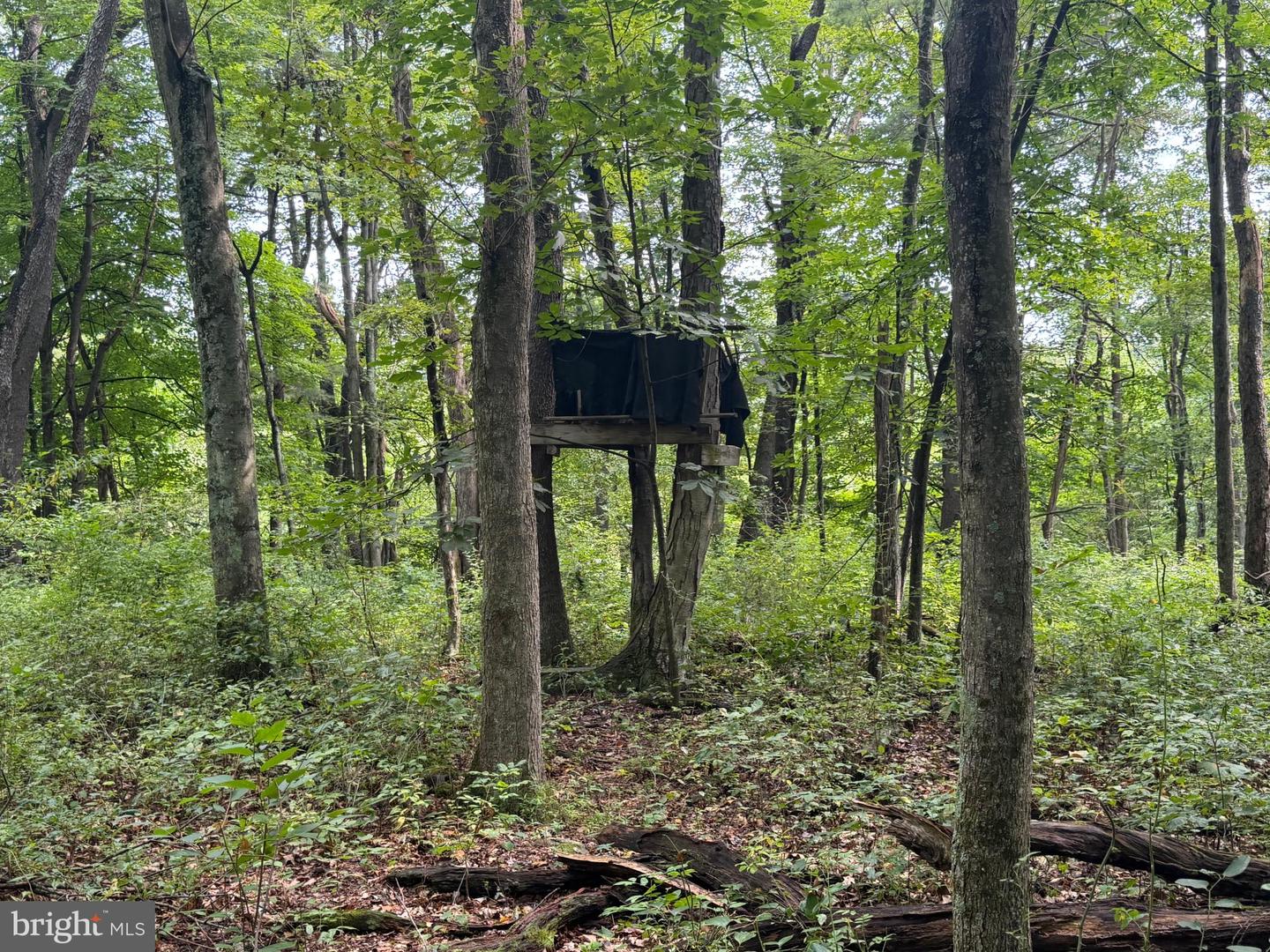 107+/- Acres Schenck Rd Property Photo 46
