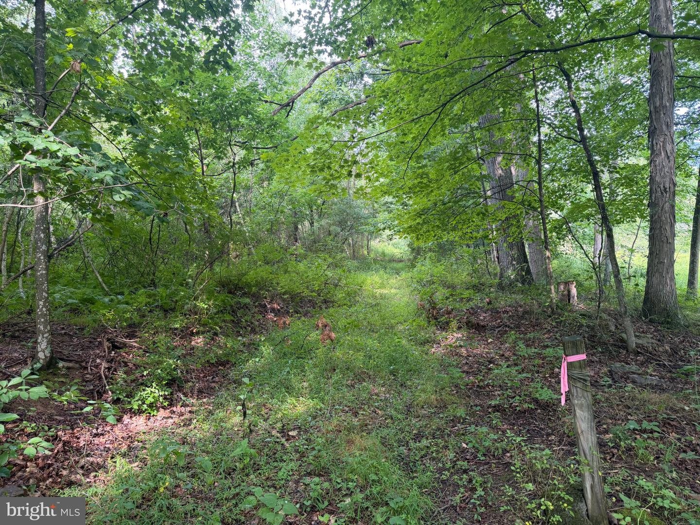 107+/- Acres Schenck Rd Property Photo 53