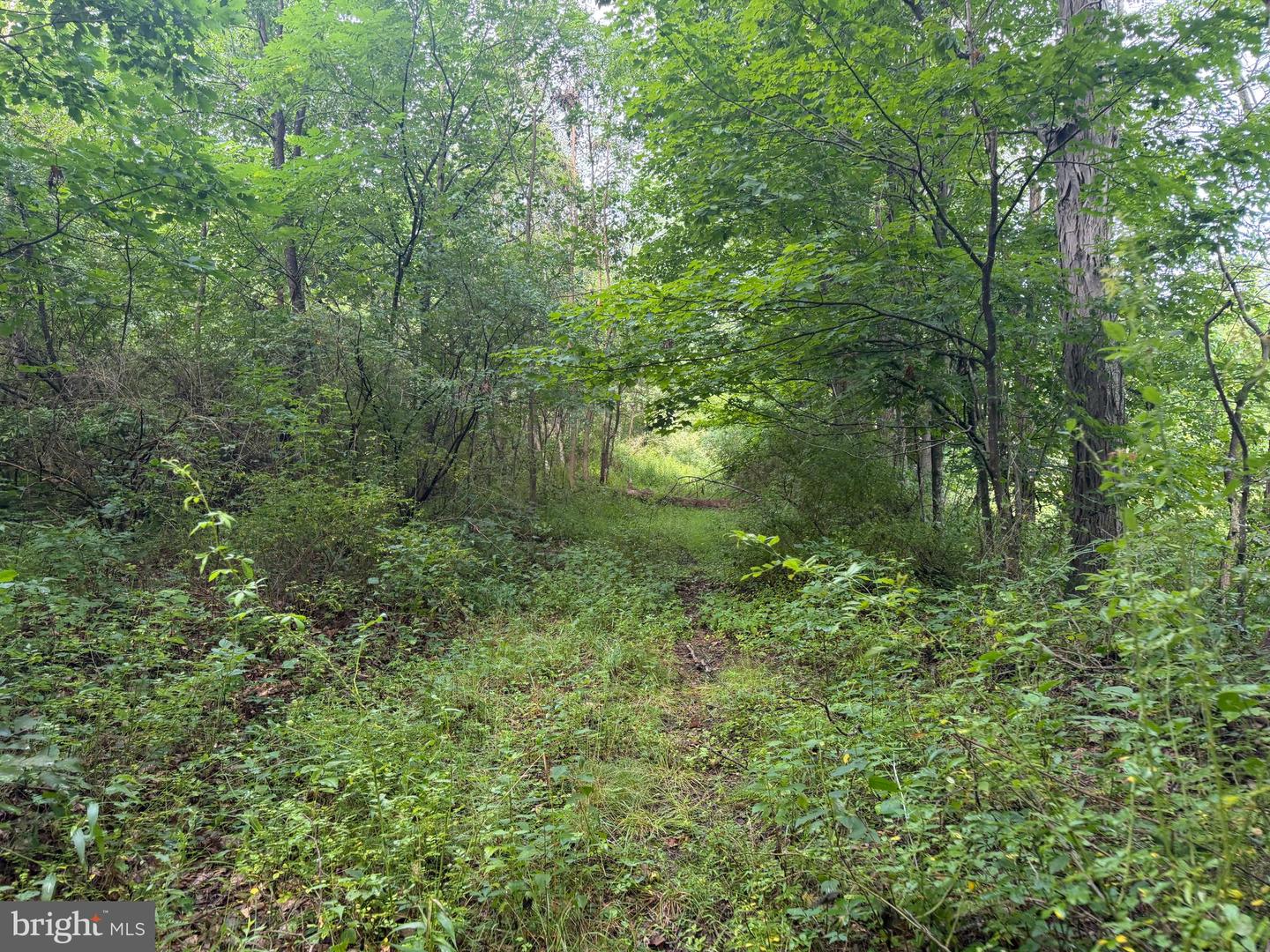 107+/- Acres Schenck Rd Property Photo 55