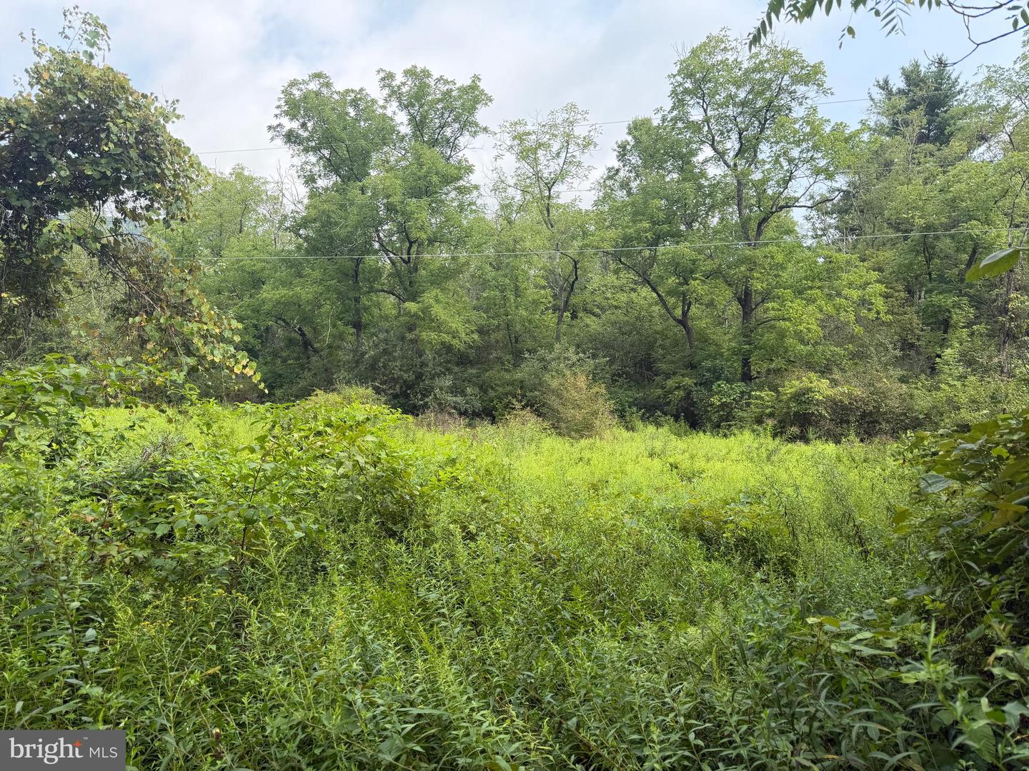 107+/- Acres Schenck Rd Property Photo 56