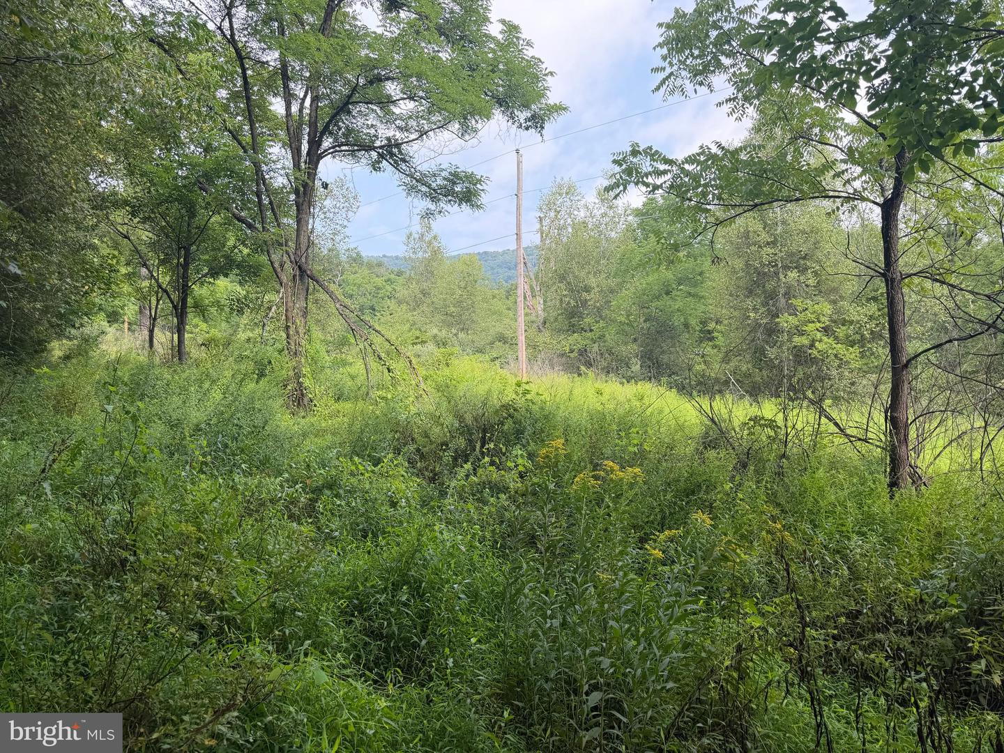 107+/- Acres Schenck Rd Property Photo 58