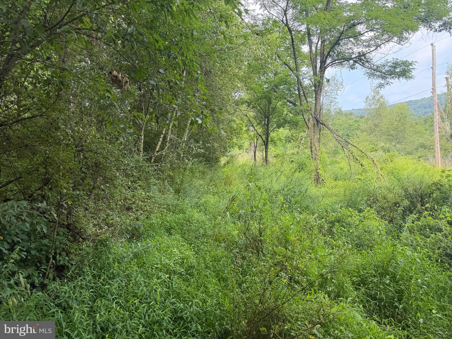 107+/- Acres Schenck Rd Property Photo 59