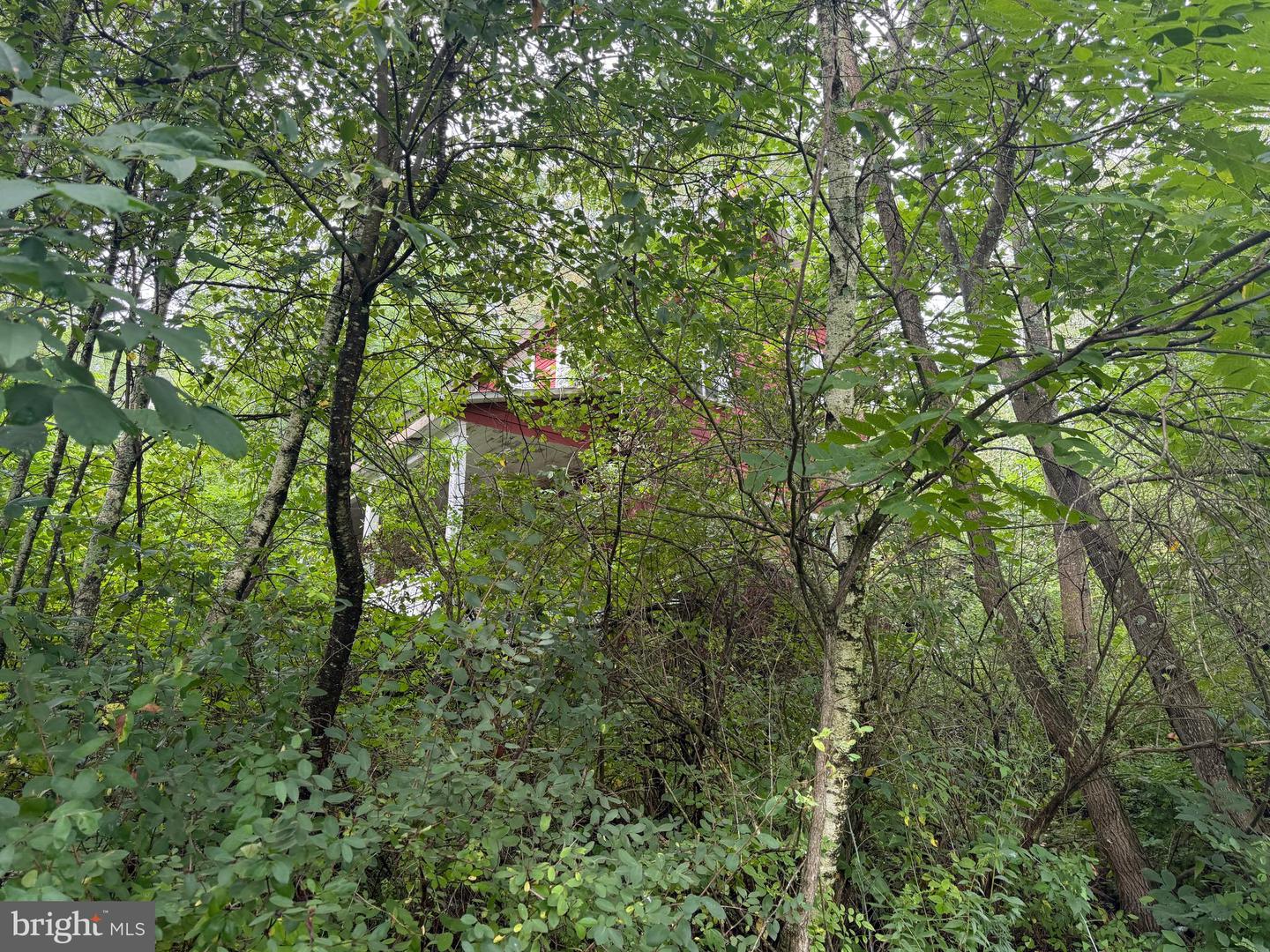 107+/- Acres Schenck Rd Property Photo 61