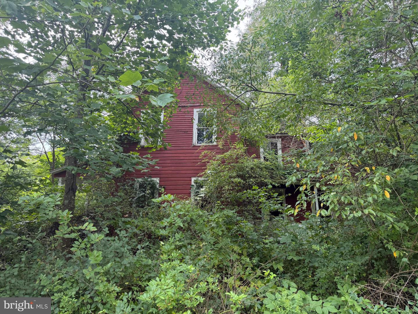 107+/- Acres Schenck Rd Property Photo 62