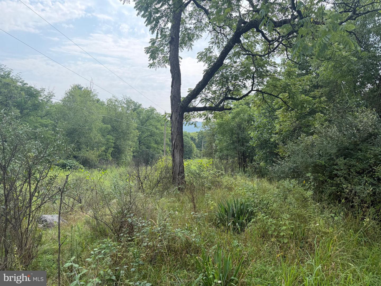 107+/- Acres Schenck Rd Property Photo 63