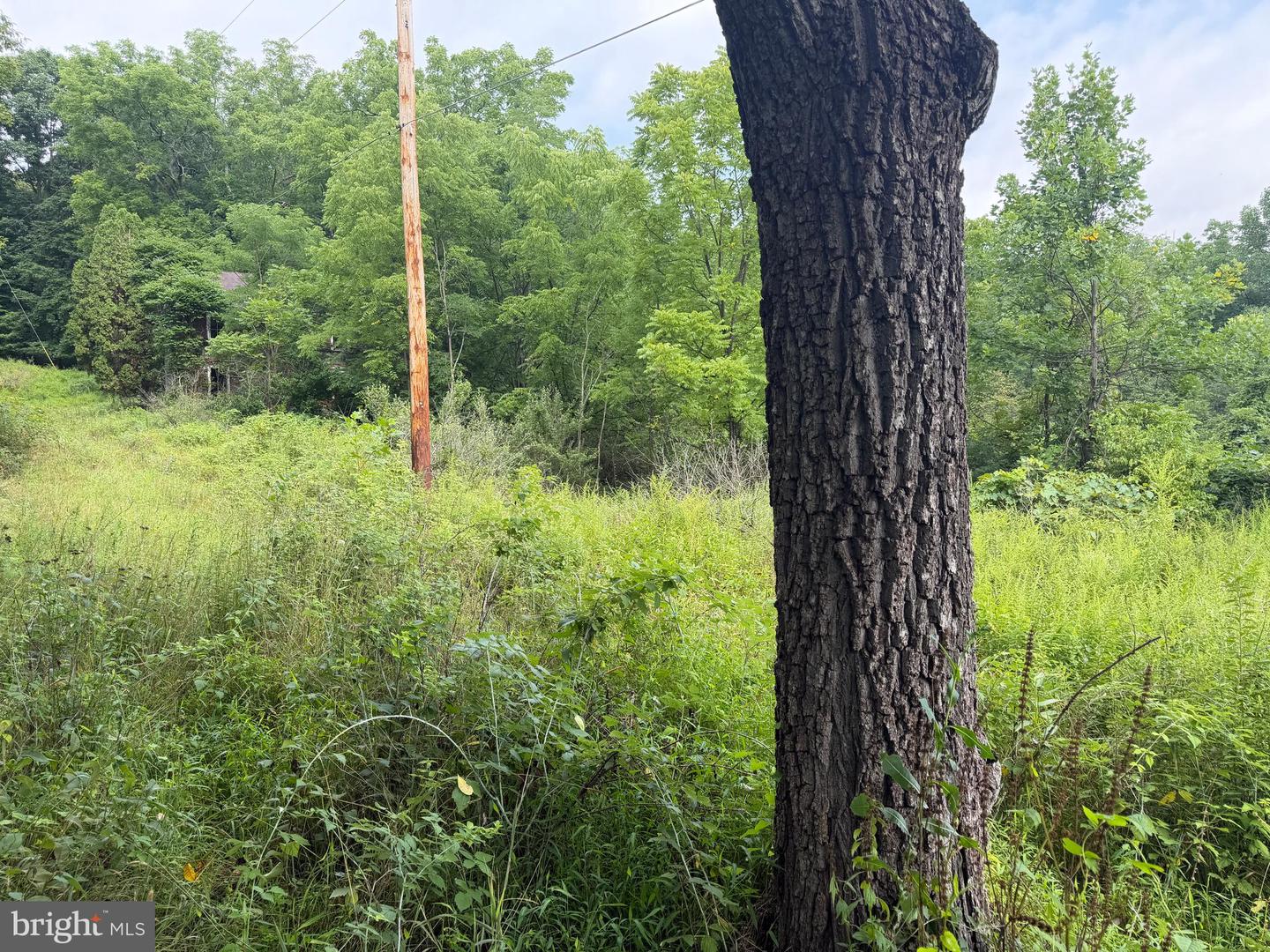 107+/- Acres Schenck Rd Property Photo 64