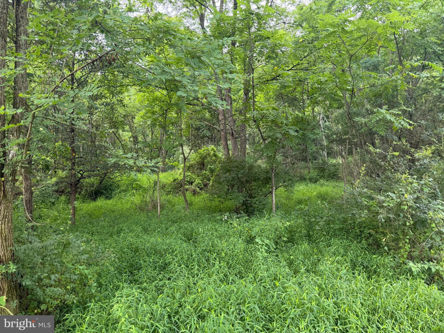 107+/- Acres Schenck Rd Property Photo 65