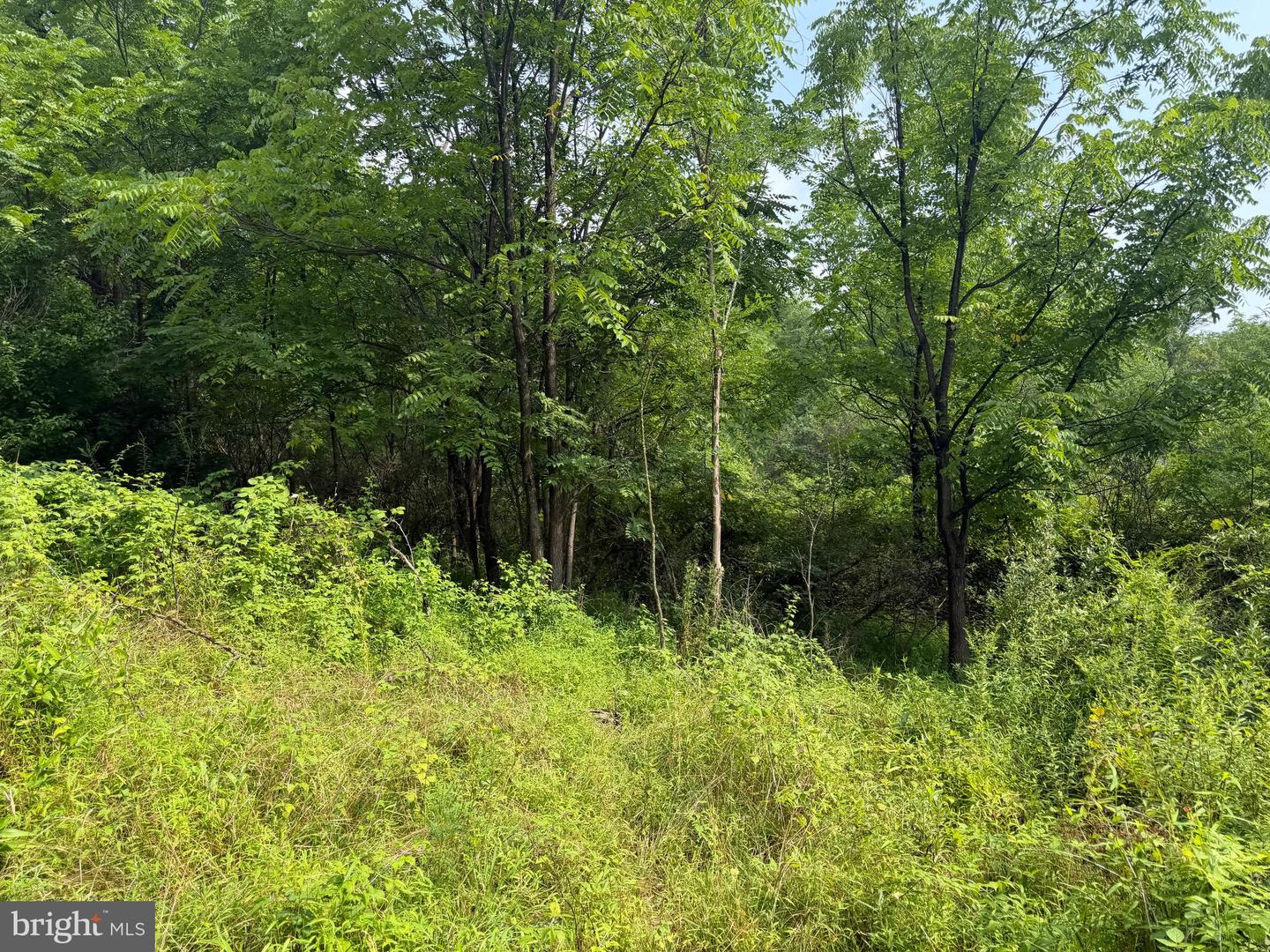 107+/- Acres Schenck Rd Property Photo 66