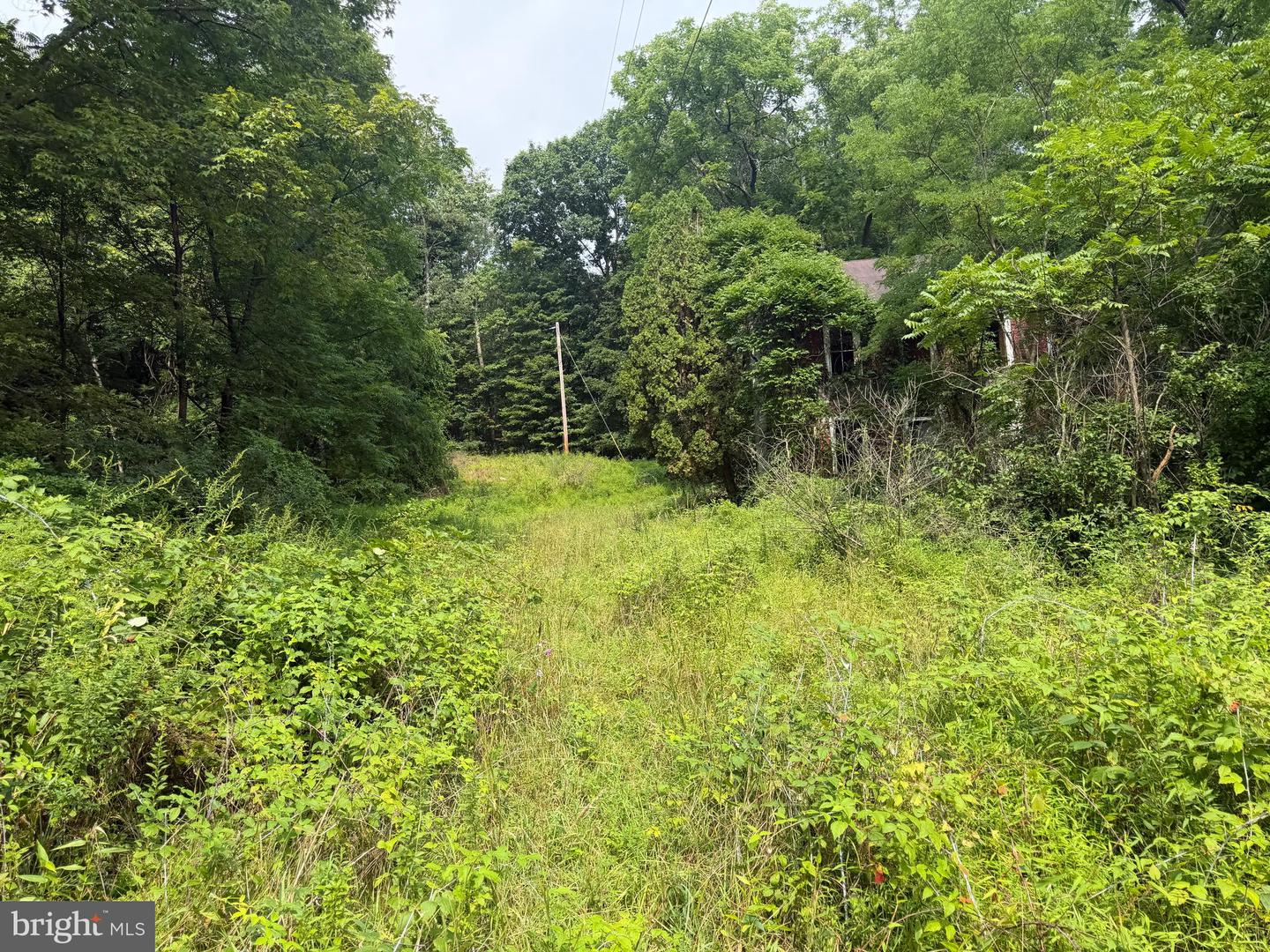 107+/- Acres Schenck Rd Property Photo 67