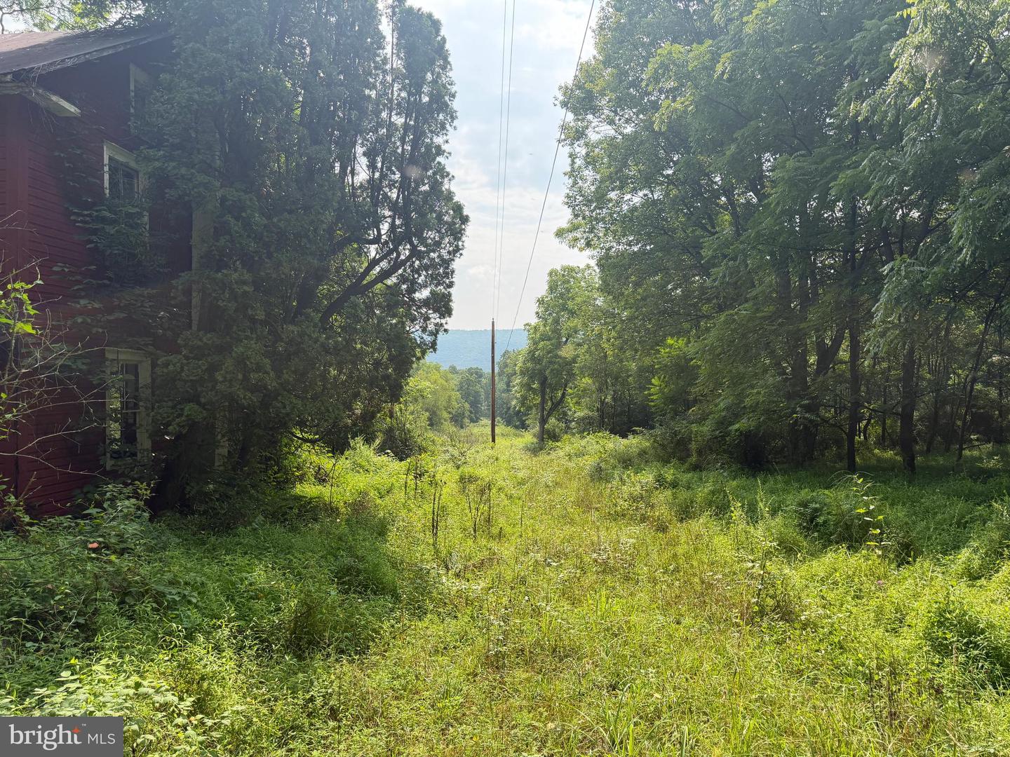 107+/- Acres Schenck Rd Property Photo 72