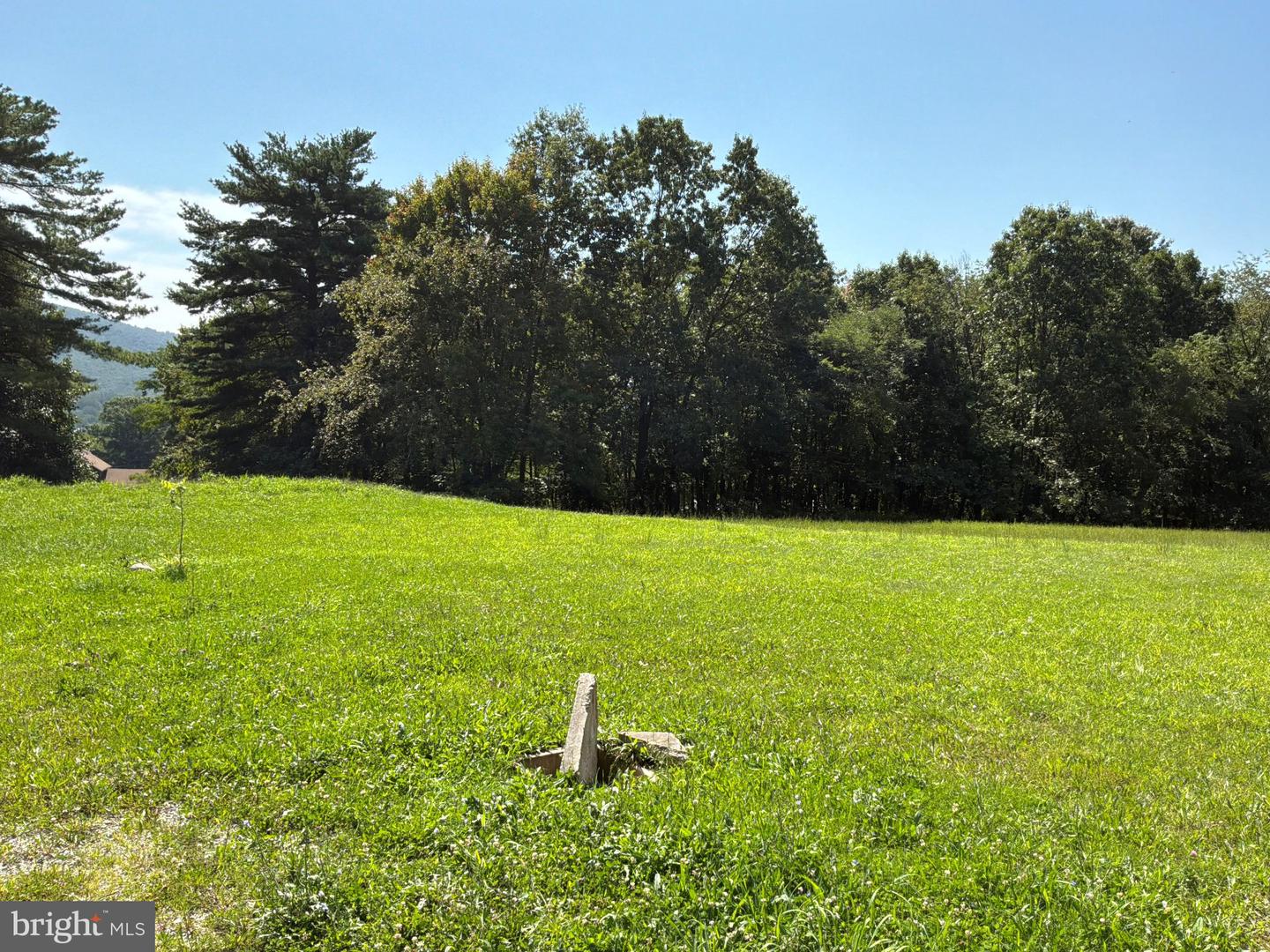 444 Plessinger Rd Property Photo 12
