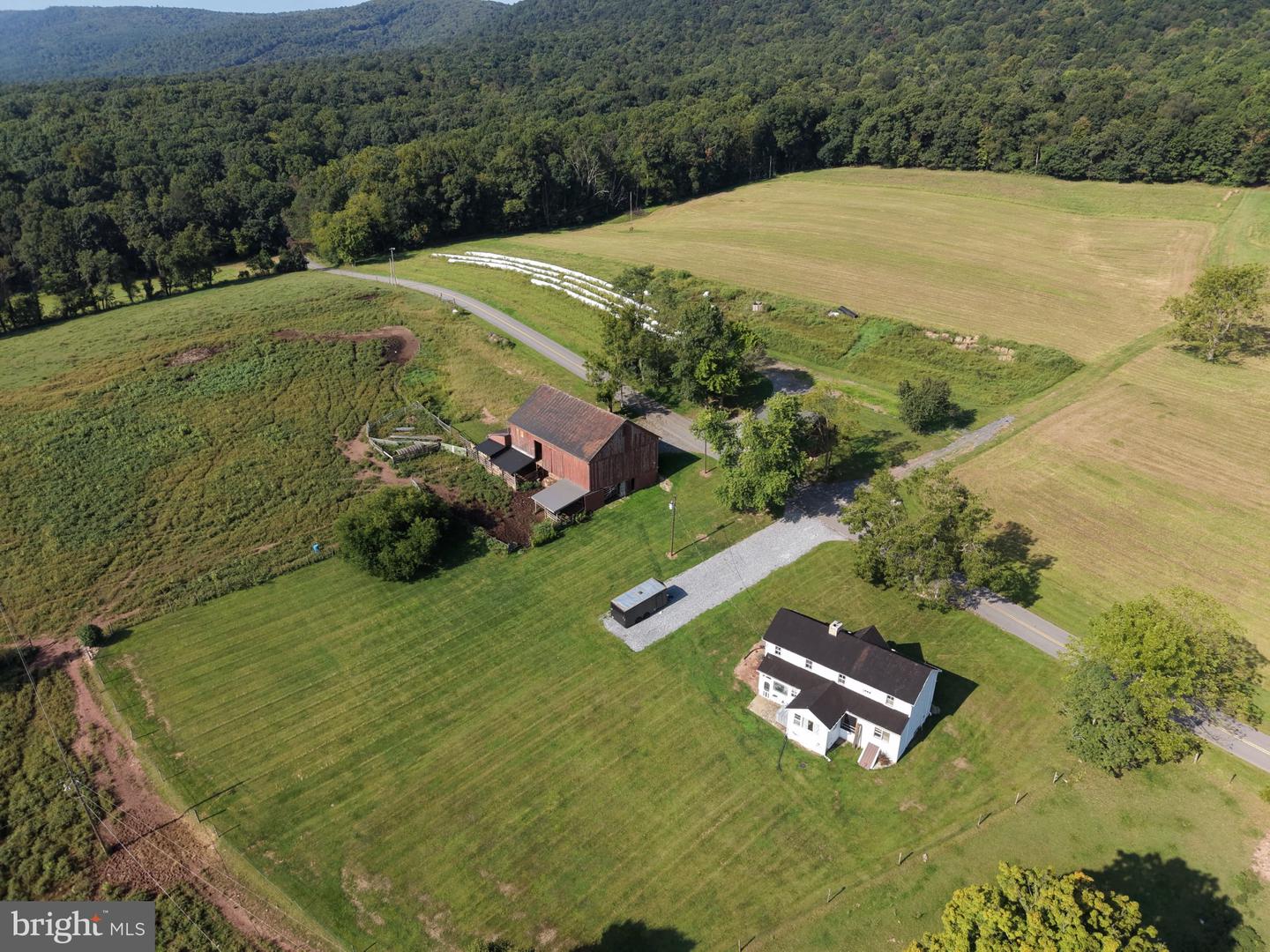 Tract 4: 10.04+/- Acres At 4326 Mountain Rd Property Photo 21
