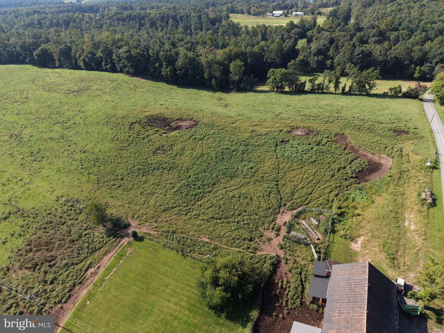 Tract 4: 10.04+/- Acres At 4326 Mountain Rd Property Photo 22